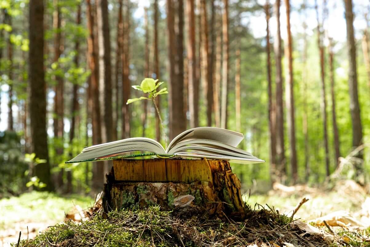 5 tipů na kvalitní knihy s ekologickým tématem | Ecoista